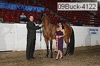 09buck-4122 proof