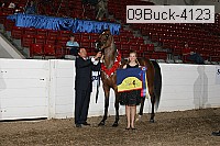 09buck-4123 proof