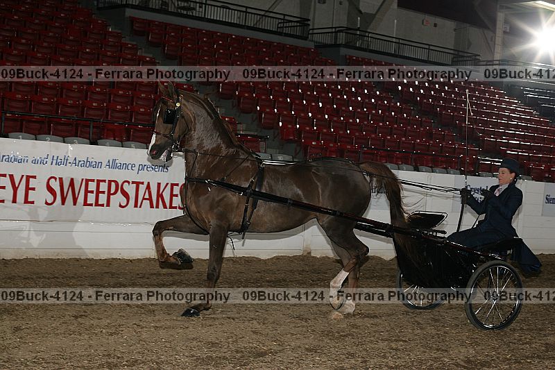 Proof 09buck-4124