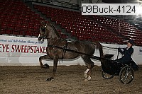 09buck-4124 proof