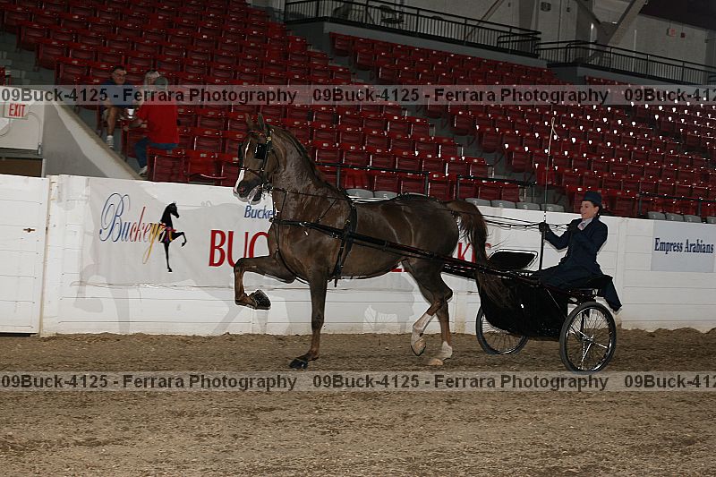 Proof 09buck-4125