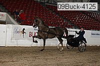 09buck-4125 proof