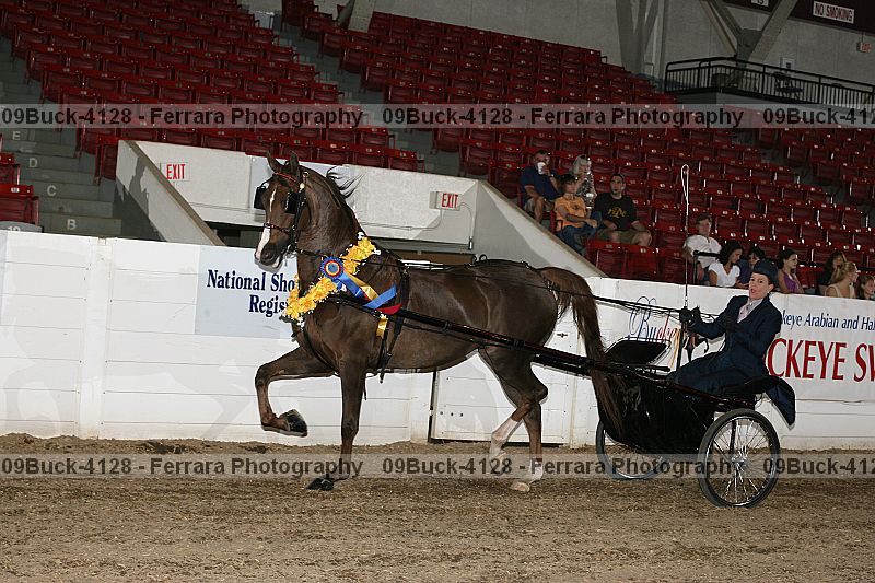 Proof 09buck-4128