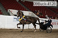 09buck-4128 proof