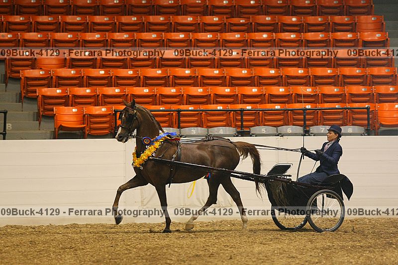 Proof 09buck-4129