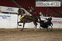 09buck-4132 proof