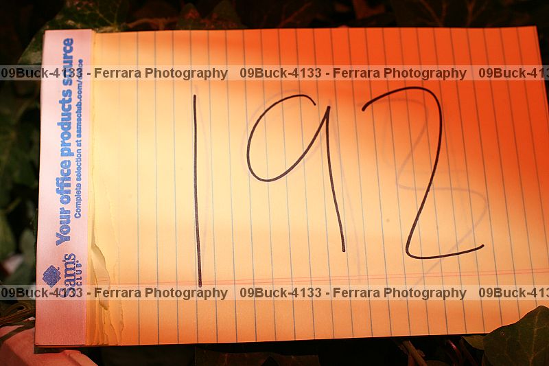 Proof 09buck-4133
