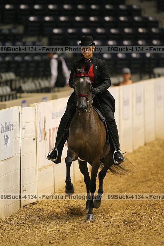 Proof 09buck-4134