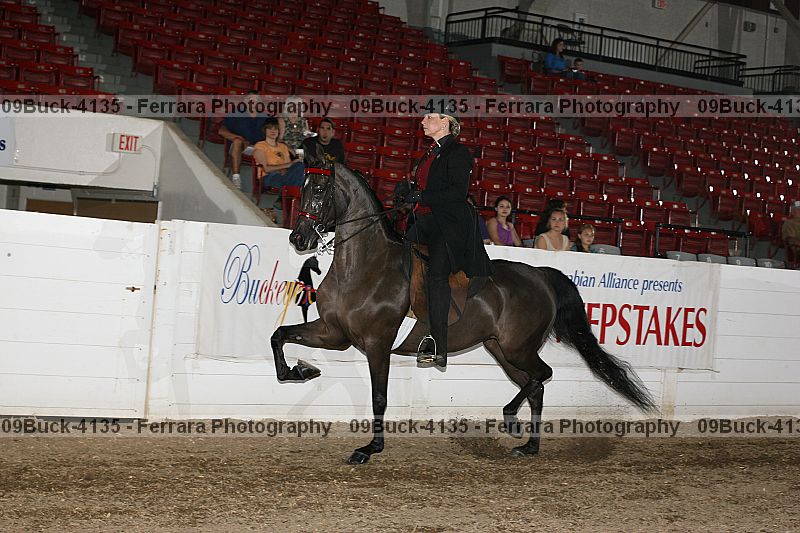 Proof 09buck-4135