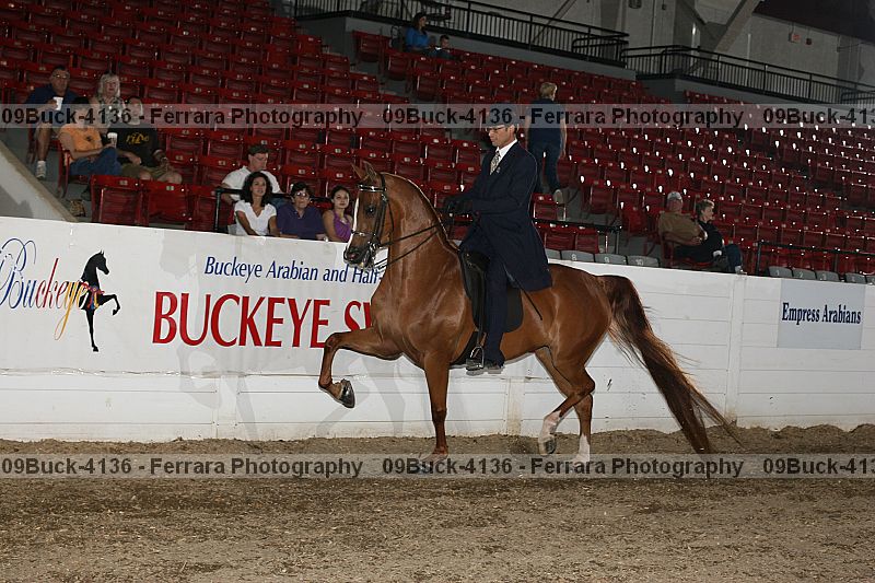 Proof 09buck-4136