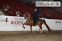 09buck-4136 proof