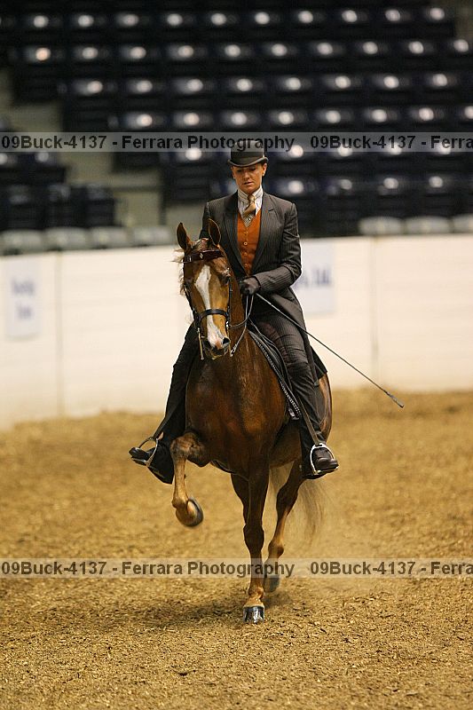 Proof 09buck-4137
