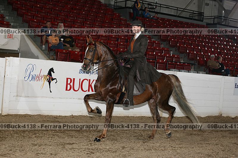 Proof 09buck-4138