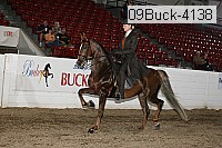 09buck-4138 proof