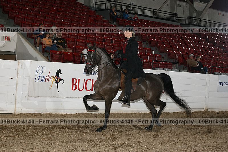 Proof 09buck-4140