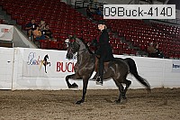 09buck-4140 proof