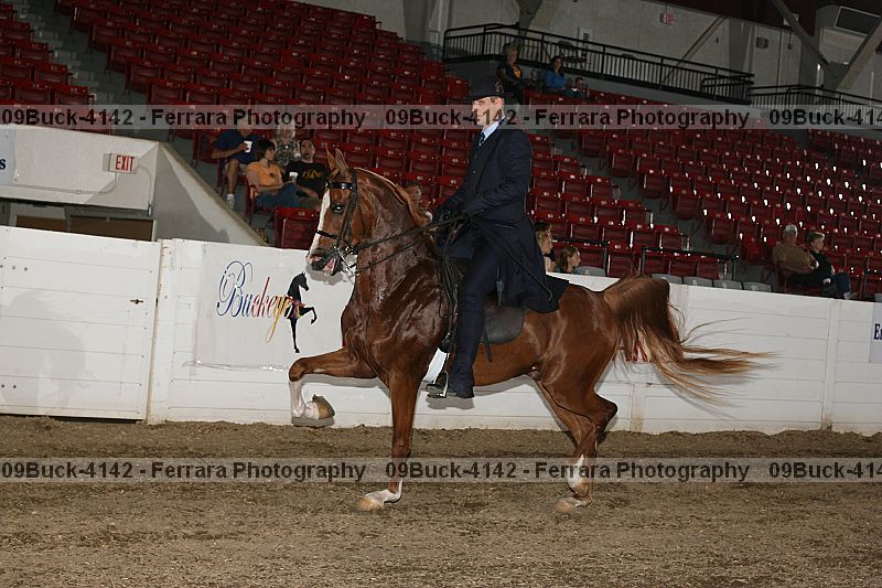 Proof 09buck-4142
