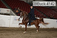 09buck-4142 proof