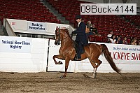 09buck-4144 proof