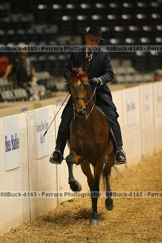 Proof 09buck-4145