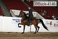 09buck-4146 proof