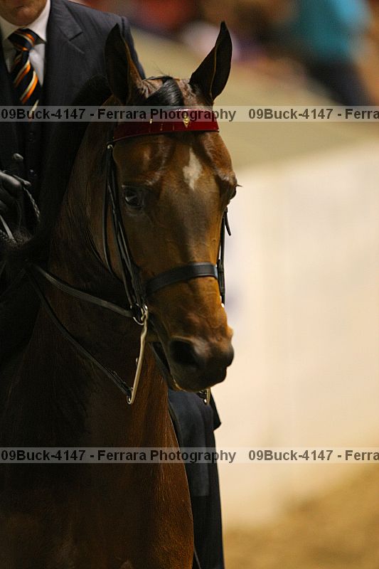 Proof 09buck-4147