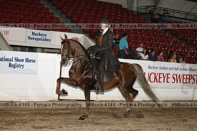 Proof 09buck-4149