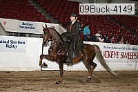 09buck-4149 proof