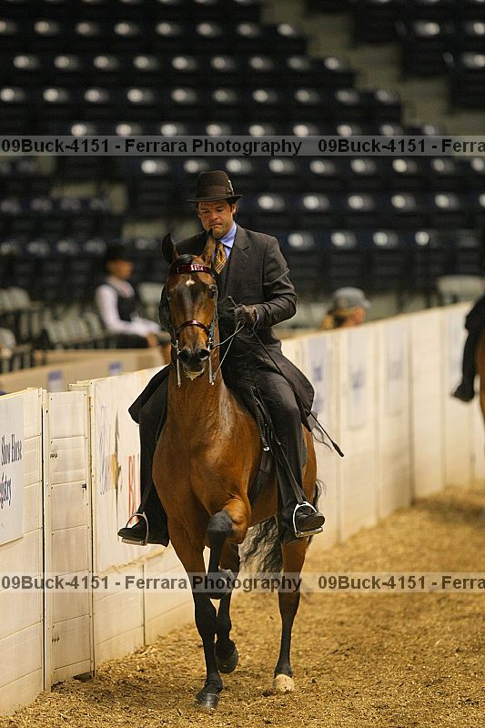 Proof 09buck-4151