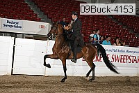 09buck-4153 proof