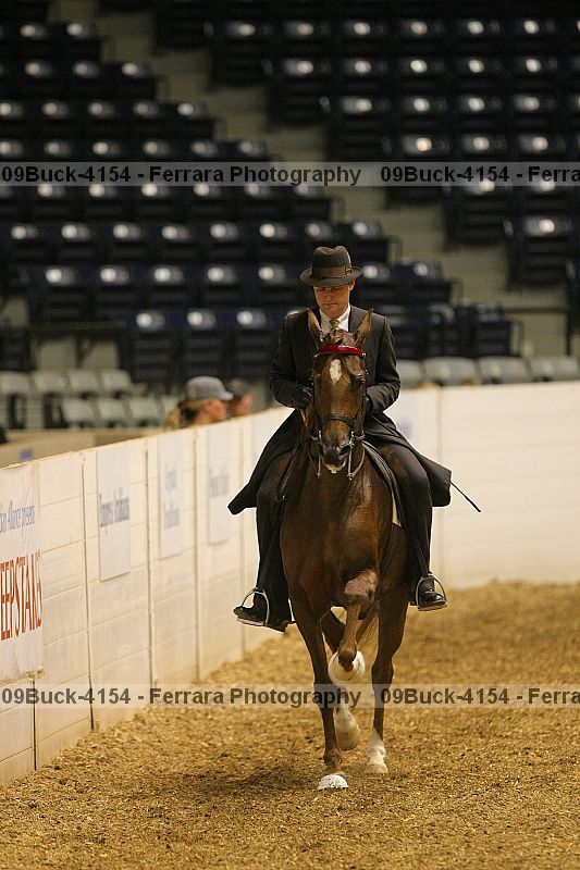 Proof 09buck-4154
