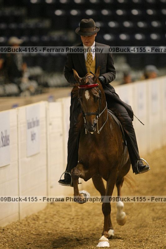 Proof 09buck-4155