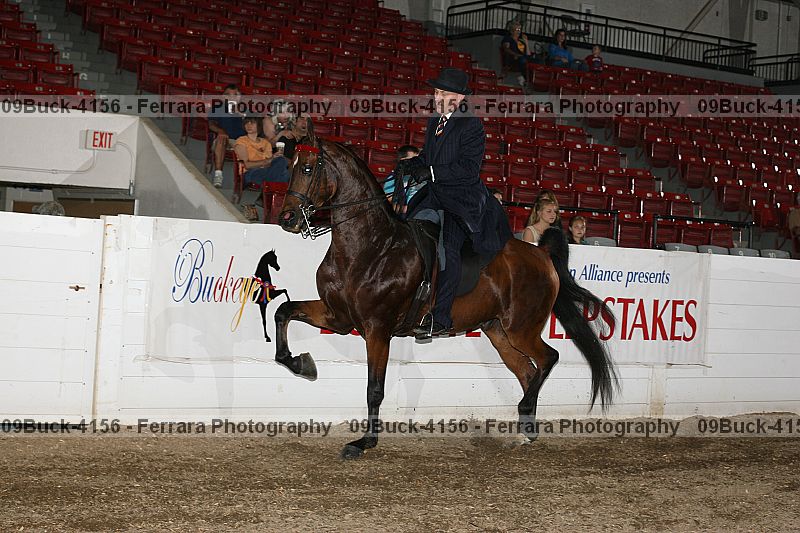 Proof 09buck-4156