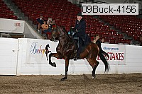 09buck-4156 proof