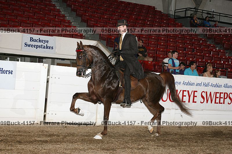 Proof 09buck-4157