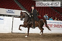 09buck-4157 proof