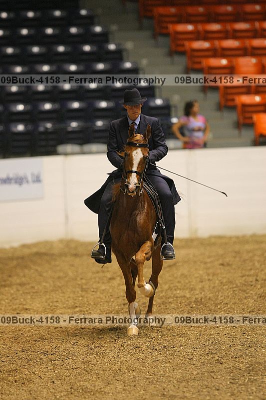Proof 09buck-4158