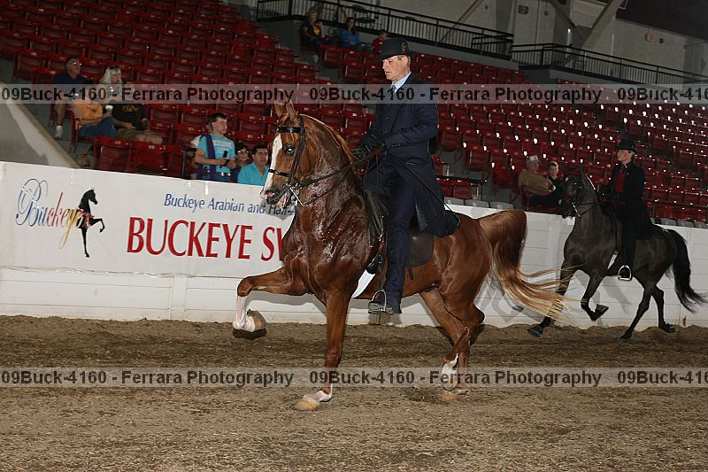 Proof 09buck-4160