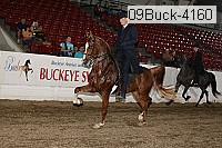 09buck-4160 proof