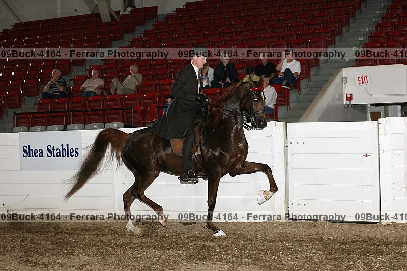 Proof 09buck-4164
