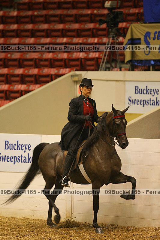 Proof 09buck-4165