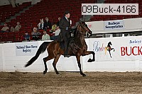 09buck-4166 proof