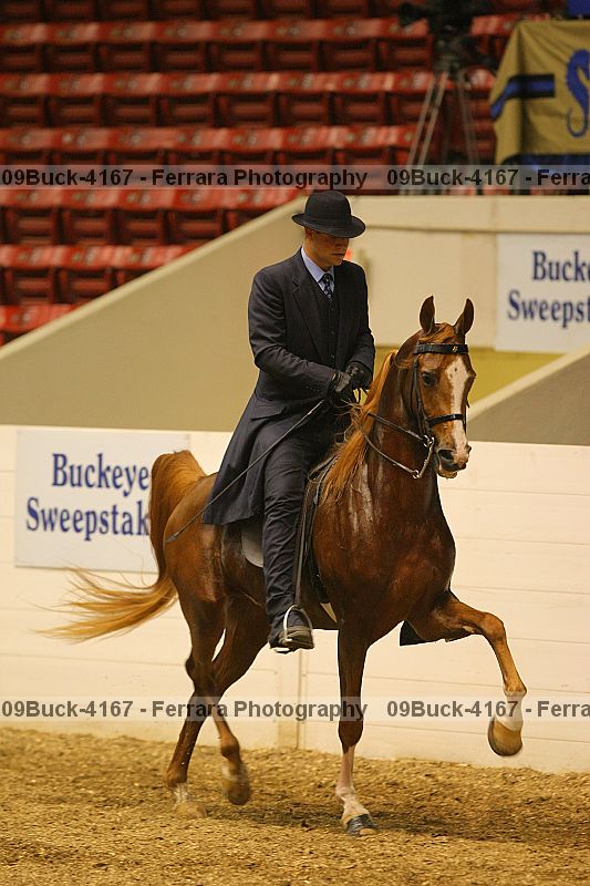 Proof 09buck-4167