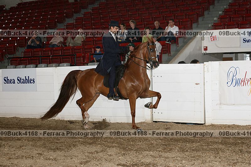 Proof 09buck-4168