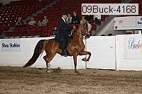 09buck-4168 proof