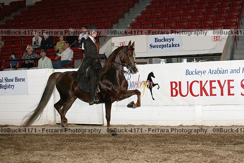 Proof 09buck-4171
