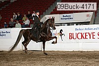 09buck-4171 proof