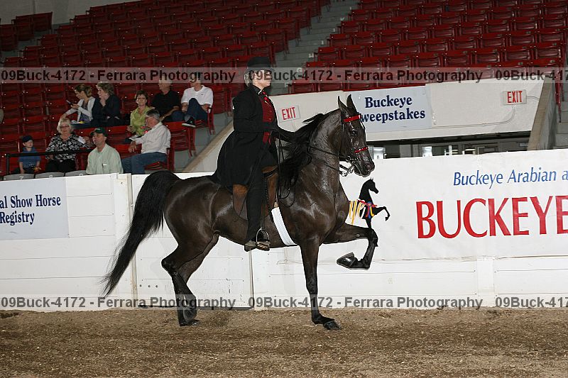 Proof 09buck-4172