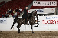09buck-4172 proof