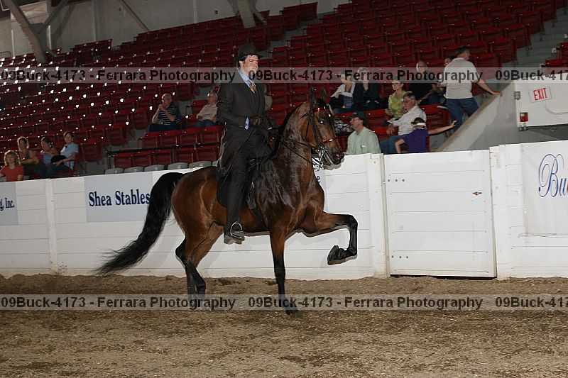 Proof 09buck-4173